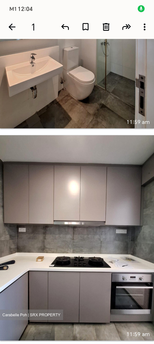 Spring Grove (D10), Condominium #486370661